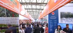 <b>“鲜花经济”终身花！我国花草海外商业持续增</b>